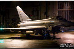 Laage2015_31.jpg