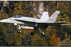 Meiringen2015_13