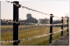 Neuburg2019_36