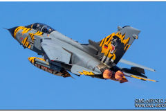 NTM18_01