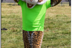 NTM18_78