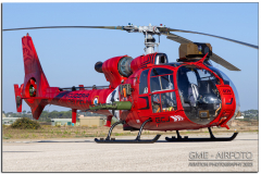 NTM23_81