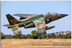 NTM25_08