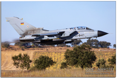NTM25_10.jpg