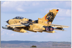 NTM25_12