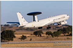NTM25_122.jpg