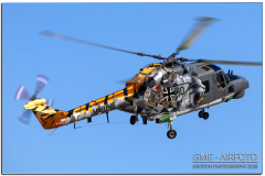NTM25_41