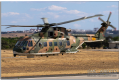 NTM25_42.jpg