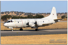NTM25_53.jpg