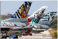 NTM26_11.jpg