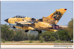 NTM26_20.jpg