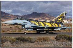 Gando2025_14