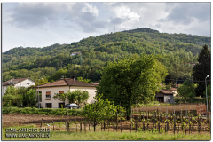 piacenza_2013_29
