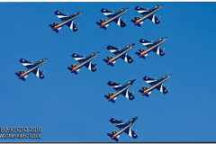 rivolto2010_05
