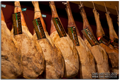 rivolto2010_22