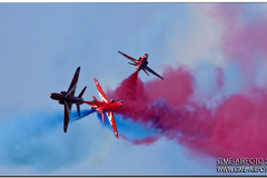 rivolto2010_43