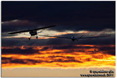 tannkosh201115